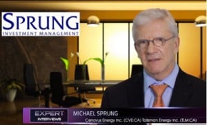 Portfolio Management Michael SprungSmallcappower value resource stocks